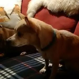 Meet your Posher, Jimmy